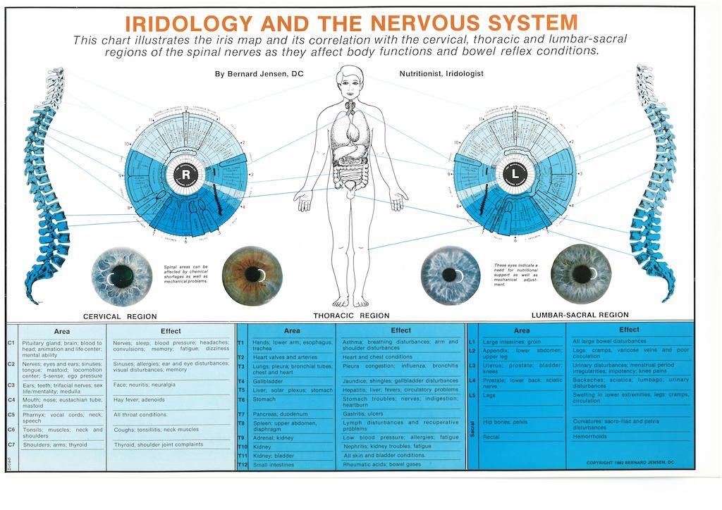 Iridology and the Nervous System